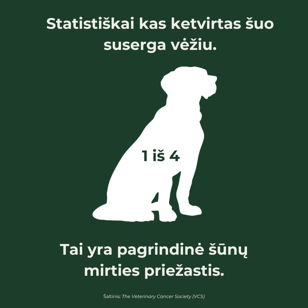 vėžys pagrindinė šūnų mirties priežastis